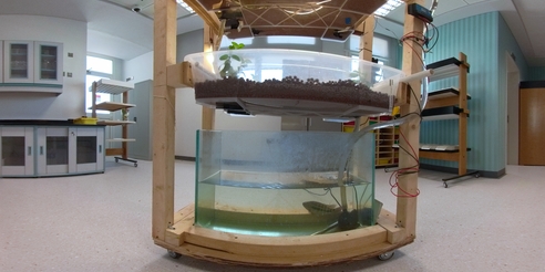 AQUAPONICS — 360° virtual tour