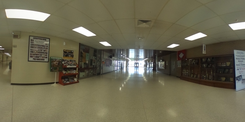 Cats  — 360° virtual tour